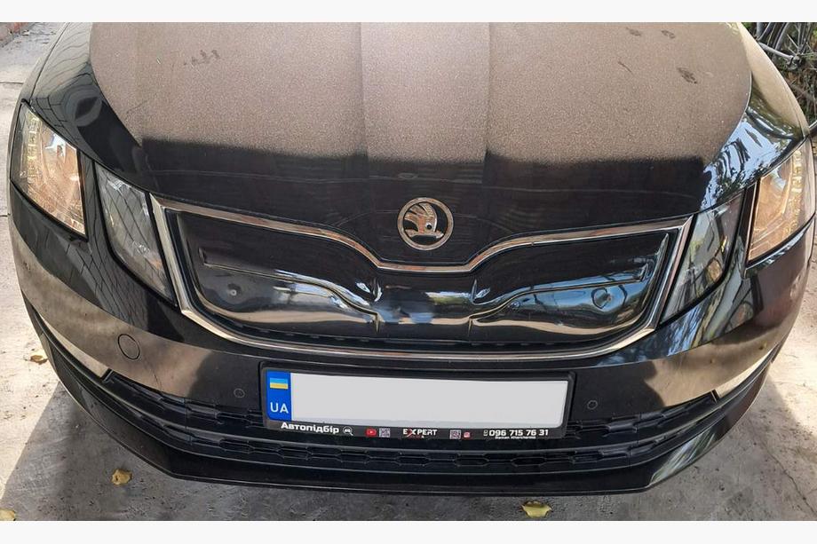 Skoda Octavia III A7 2013-2019 гг. Зимняя решетка (2017-2020) Матовый Фото 7