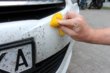 Как удалить налипших насекомых с автомобиля? фото 1