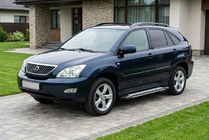 Lexus RX 2003-2009 гг. Боковые Подножки Rainbow (2 шт., Алюминий) фото 1