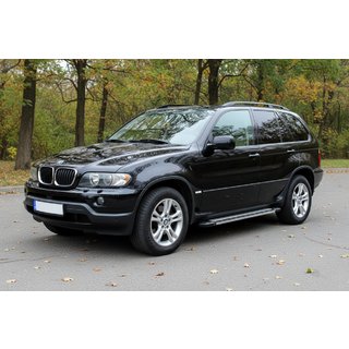 Боковые Подножки Rainbow (2 шт, Алюминий) BMW X5 E53 1999–2006 гг. фото 1