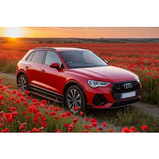 Боковые Подножки Maya Red (2 шт., Алюминий) Audi Q3 2019–2025 гг. фото 1