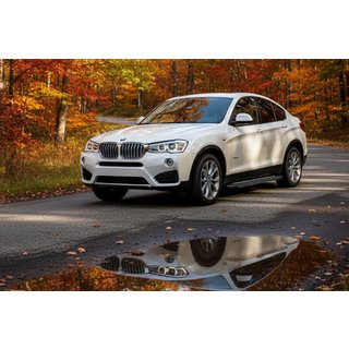 Боковые Подножки Bosphore Grey (2 шт., Алюминий) BMW X4 F26 2014-2018 гг. фото 1
