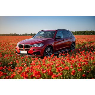 Боковые Подножки Maya Red (2 шт., Алюминий) BMW X5 F15 2013-2018 гг. фото 1