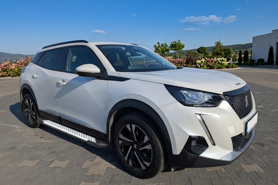 Peugeot 2008 2019- гг. Боковые пороги Allmond Grey (2 шт., алюминий) Фото 1