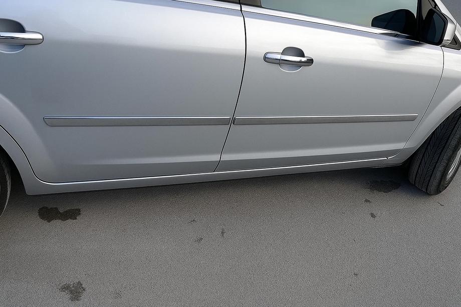 Ford Focus II 2005-2008 гг. Дверные Молдинги Нержавеющая Сталь (4 шт) OmsaLine - Итальянская Нержавейка Image