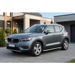 Боковые Подножки Tayga Grey (2 шт., Алюминий) фото 1