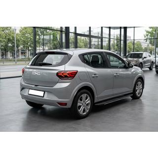 Боковые пороги Bosphorus Grey (2 шт., алюминий) Dacia Sandero 2021- гг. фото 1