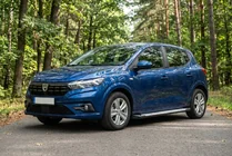 Dacia Sandero 2021- гг. Боковые пороги Allmond Grey (2 шт., алюминий) фото 1