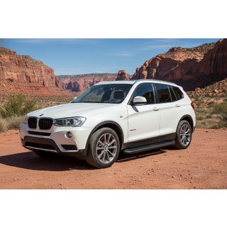 Боковые Подножки Tayga Black (2 шт., Алюминий) фото 1
