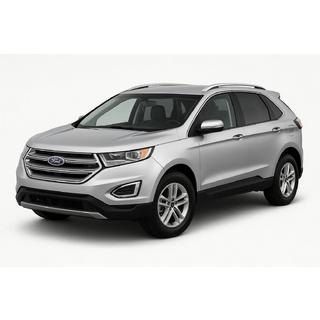 Ford Edge 2014-2024 гг. Рейлинги OEM V1 (Long, для китайского рынка, 2 шт)