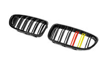 BMW 5 серия F10/F11 2010–2016 гг. Ноздри M-Look (German Color) фото 2