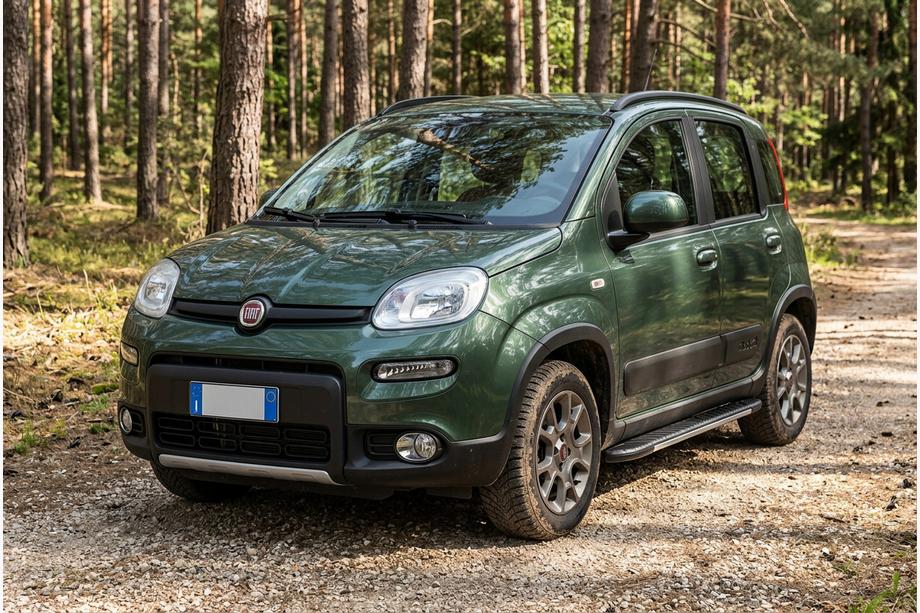 Fiat Panda 2011-2023 гг. Боковые Подножки Bosphore Grey (2 шт., Алюминий) Image
