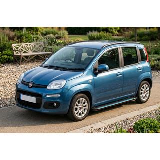 Боковые Подножки Maya Blue (2 шт., Алюминий) Fiat Panda 2011-2023 гг. фото 1